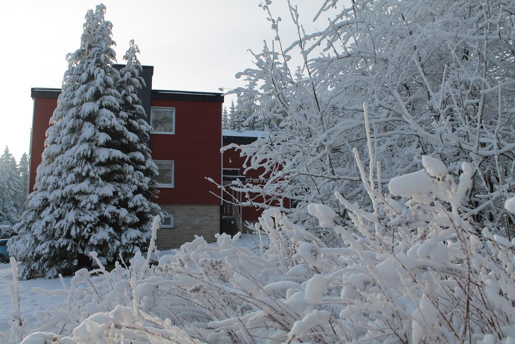 Der Buchenhof Apartment Braunlage Exterior photo